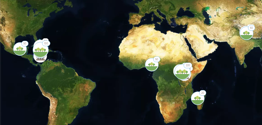Foresta Euclidea Treedom